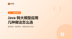 Java 转大模型应用开发是否可以：几种做法的区别与取舍