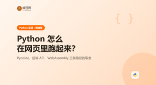 Python 代码怎么在网页里跑起来：三条路径的取舍
