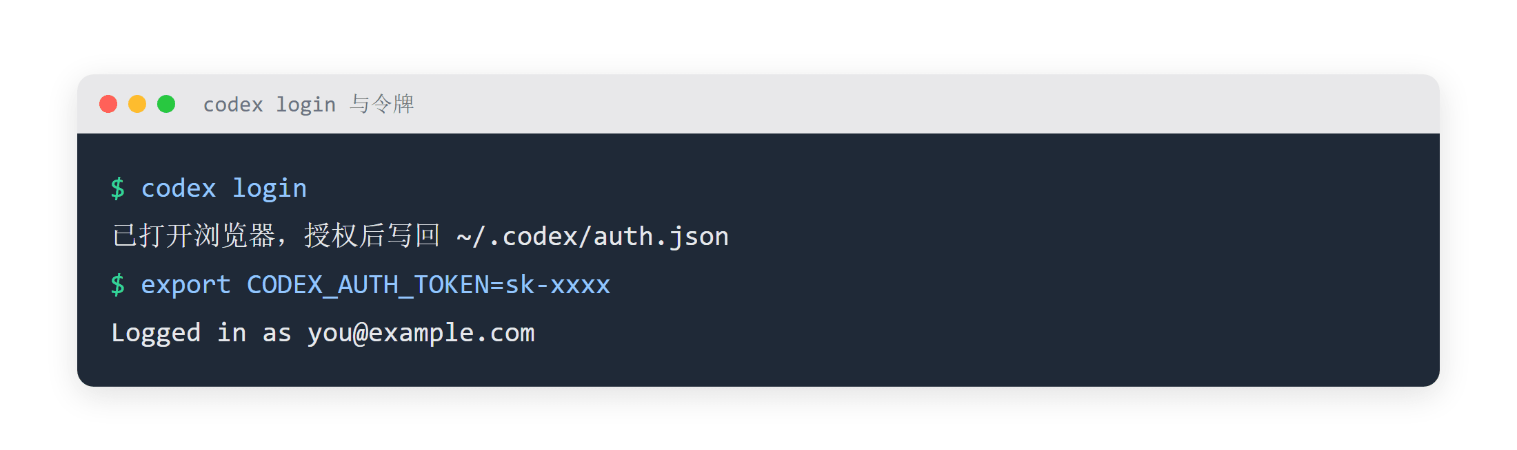 codex login 与令牌登录的输出示例